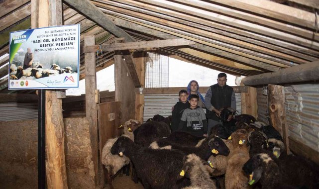 'Haydi gel köyümüze destek verelim' projesi, damızlıklarla çoğalıyor