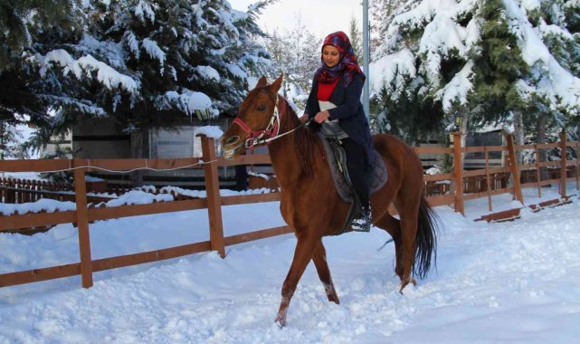 'Yapamazsın' dediler hırs yaptı Elazığ'ın tek kadın seyisi oldu