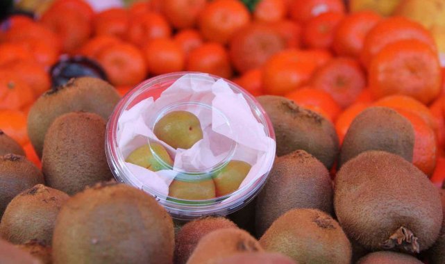 4 tanesi 50 TL'den satılan erik hamilelerin ilgi odağı