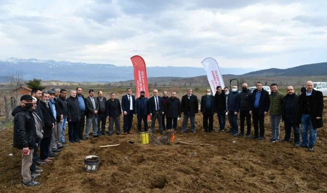 78 çiftçiye 61 bin 250 adet bağ fidanı dağıtıldı