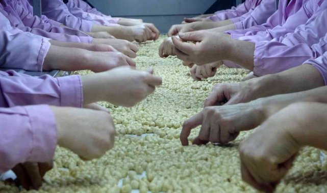 AB ülkelerine Düzce&#039;den fındık ihracatı hız kesmedi