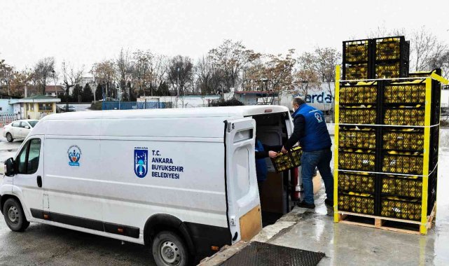 ABB, Mersinli limon üreticilerinden alınan limonları Başkentte sosyal yardım alan ailelere ulaştırdı