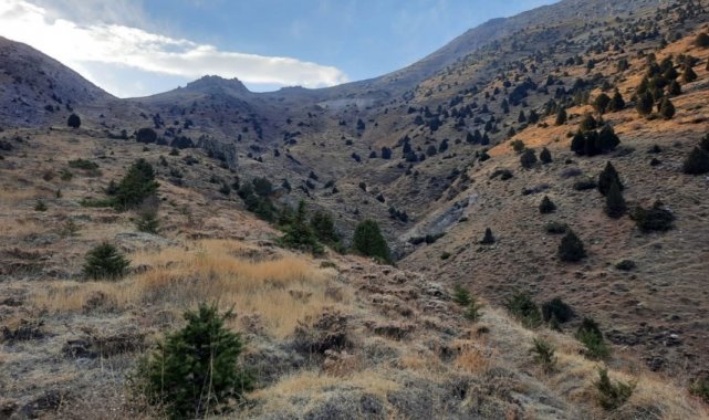 Afşin'de yılda 300 bin ton gümüş, çinko ve kurşun çıkarılacak