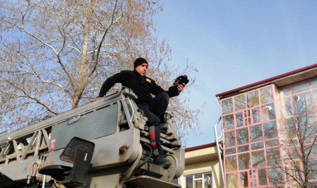 Ağaçta asılı kalan kargayı itfaiye ekipleri kurtardı