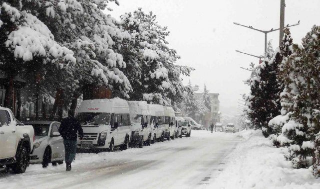 Ahlat'ta yoğun kar yağışı