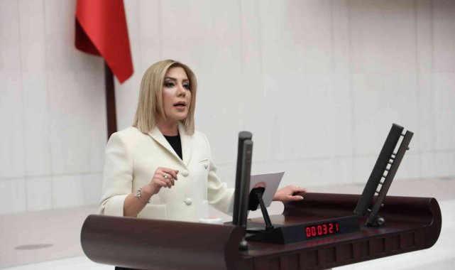 AK Partili Gökcan, çimento fabrikasına ruhsat verilmesini eleştirdi