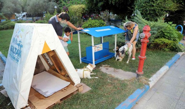 Akdeniz Belediyesi, sokak hayvanları için yuva yapıyor