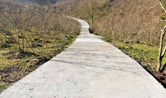 Altınordu'da ulaşım ağı güçleniyor