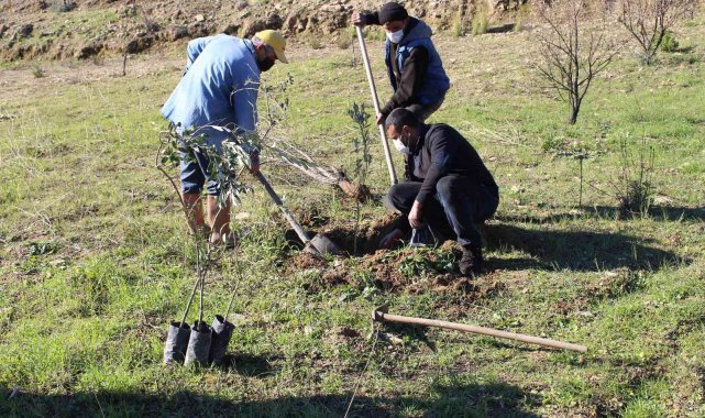 Antalya Büyükşehir Belediyesi'nden fidan desteği
