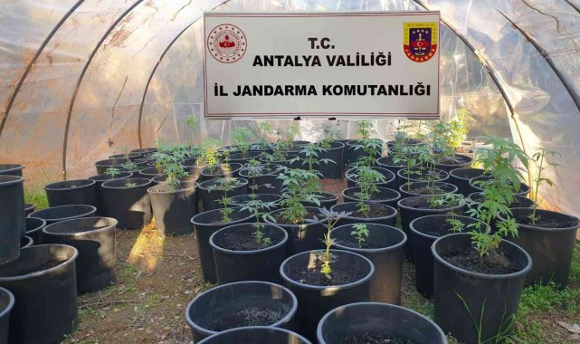 Antalya'da jandarmadan uyuşturucu serasına baskın