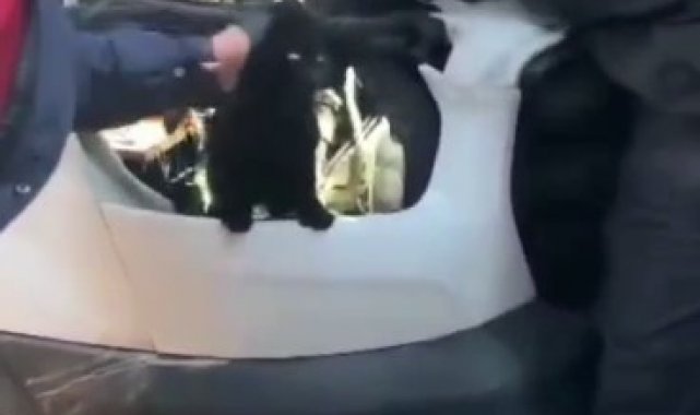 Araç motorunda mahsur kalan kediyi itfaiye kurtardı