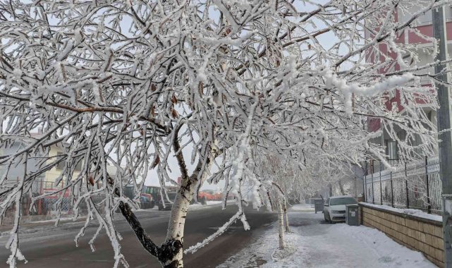Ardahan eksi 20 derece