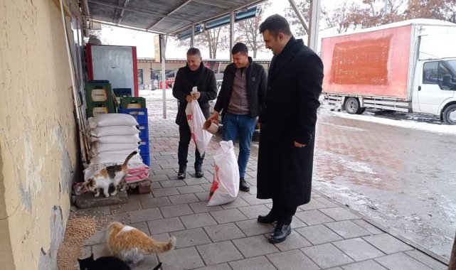 Arguvan'da sokak hayvanları unutulmadı
