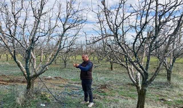 Arpa çeşitlendirme çalışmaları aralıksız sürüyor