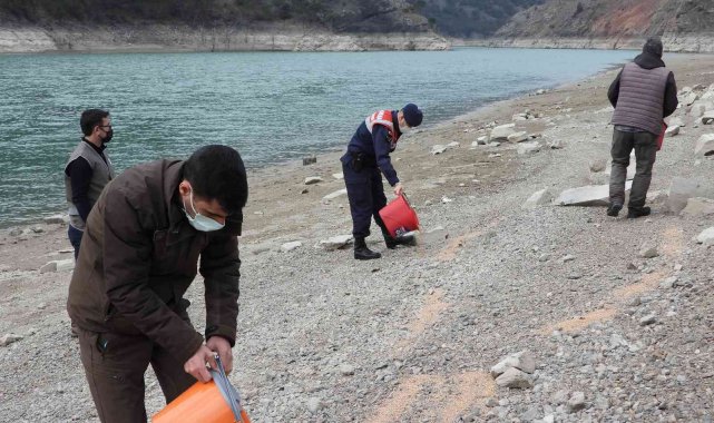 Artvin'de "2 Şubat Dünya Sulak Alanlar Günü" nedeniyle yemleme yapıldı