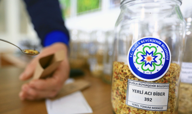 Ata tohumları topraktan sofraya ulaşıyor