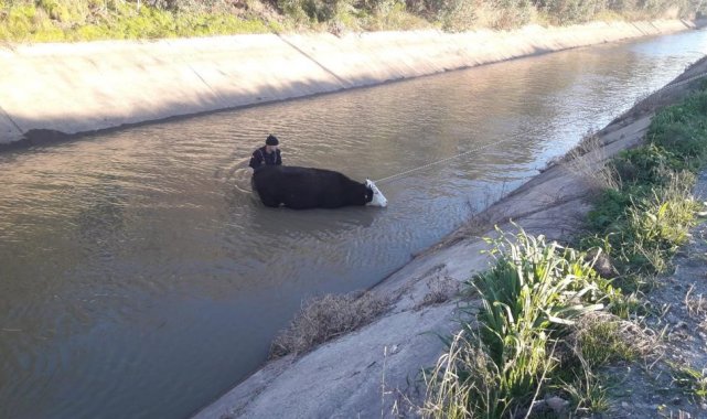 Ateş savaşçıları bu defa buz gibi suda can kurtarmak için seferber oldu