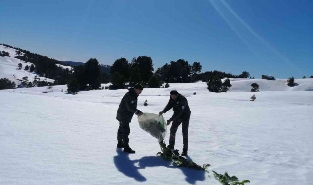 Aydın DKMP kaçak avcılara göz açtırmıyor