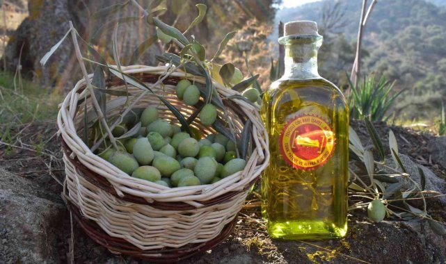 Aydın Ticaret Borsası, Aydın Memecik Zeytinyağı'nı Hatay'da tanıtacak