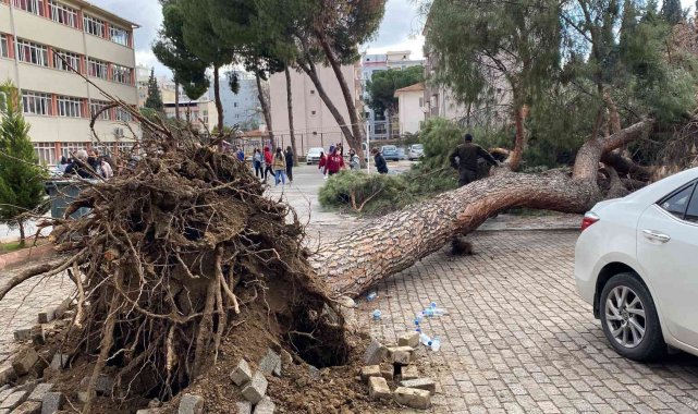 Aydın'da facia teğet geçti