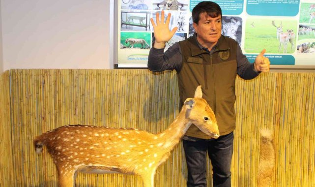 Aydın&#039;ın &quot;Doğa Savaşçısı&quot; hayatını kaybetti