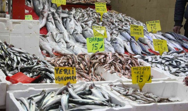 Balık tezgahlarında enflasyon yok: 3 balık çeşidi 15 lira