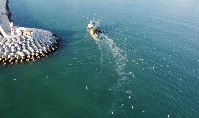 Balıkçılar denizde, martılar peşlerinde kısmetini arıyor