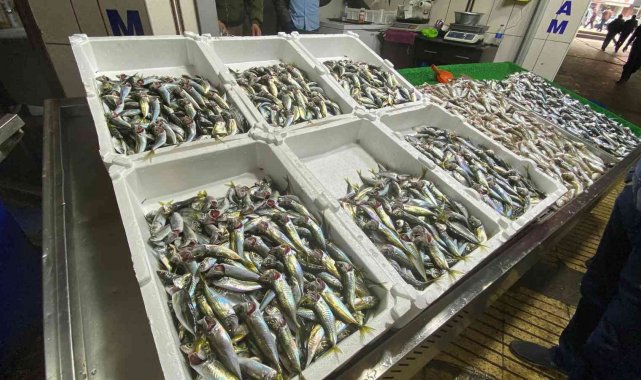 Balıkçılar sezon umutsuz kapatıyor