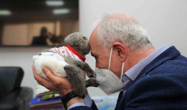 Başkan Gültak engelli kediyi misafir etti