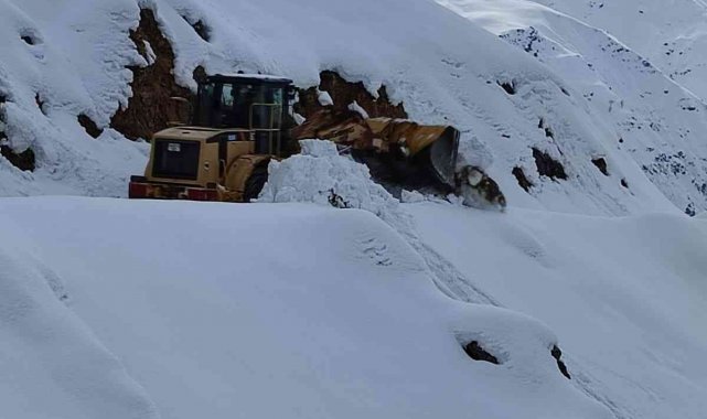 Batman&#039;da kar nedeniyle kapalı 14 köy yolu ulaşıma açıldı