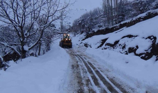 Batman'da kar nedeniyle kapalı yerleşim yeri yolu kalmadı