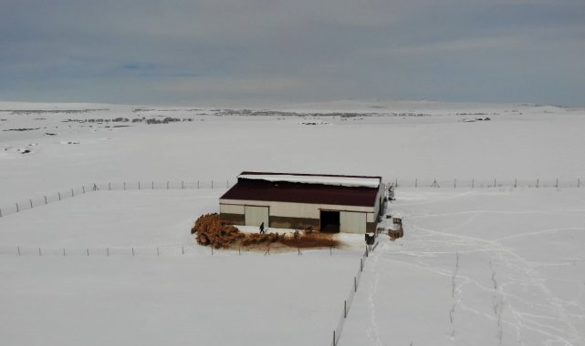 Besicinin 4 günlük esareti bitti