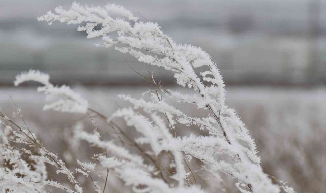 Beyaza bürünen Eskişehir kırsalı adeta buz kesti