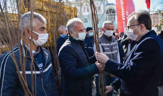 Bilecik cennet hurmasının merkezi olma yolunda