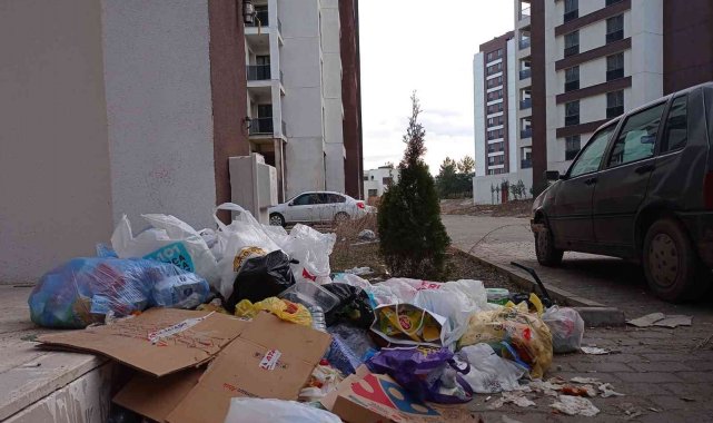 Bilecik'te 558 dairelik site içi çöplüğe döndü