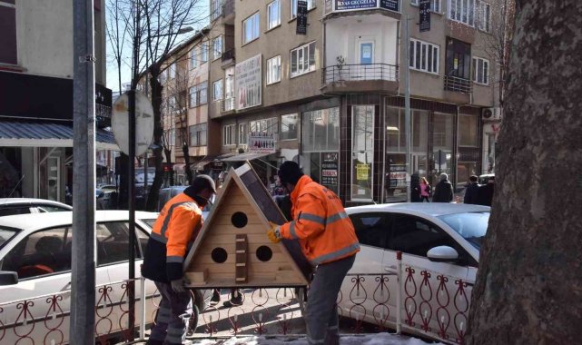 Bilecik'te sokak hayvanları için yapılan yuvalar çeşitli yerlere yerleştirildi