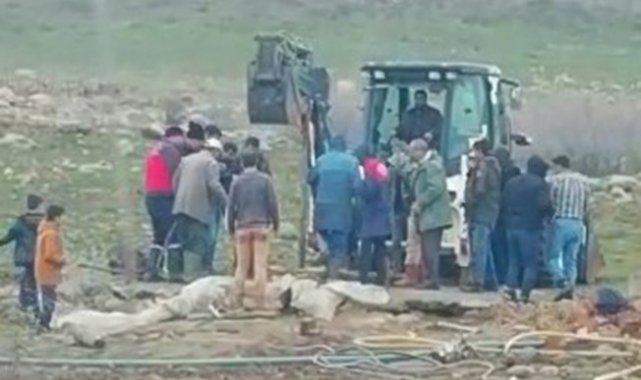Bingöl&#039;de kuyuya düşen ineği ekipler kurtardı