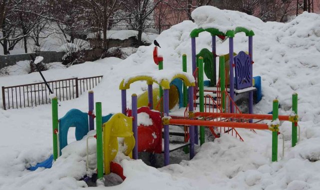 Bitlis'te 67 köy yolu ulaşıma kapandı