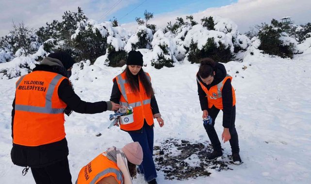 BTÜ öğrencileri sokak hayvanlarını unutmadı