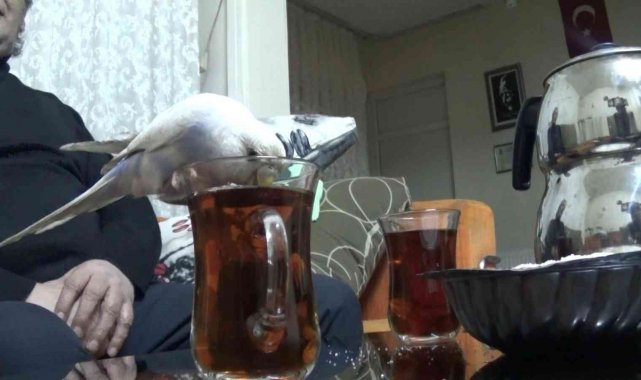 Bu çayın tiryakisi bir başka