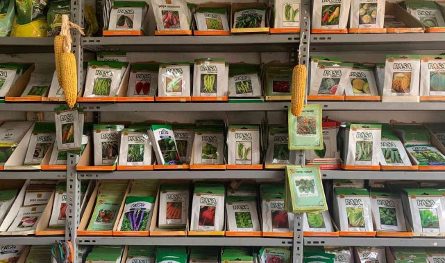 Bu sene yağışın fazla olması tohum satışlarını patlattı