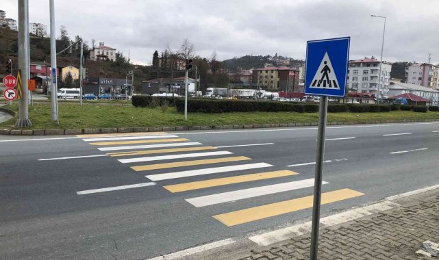 Bu yaya geçidinin sonu çimenliğe çıkıyor