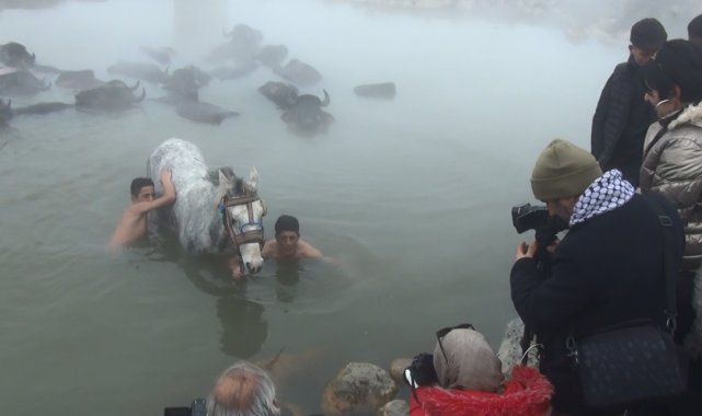 Budaklı kaplıcası doğal fotoğraf stüdyosuna döndü