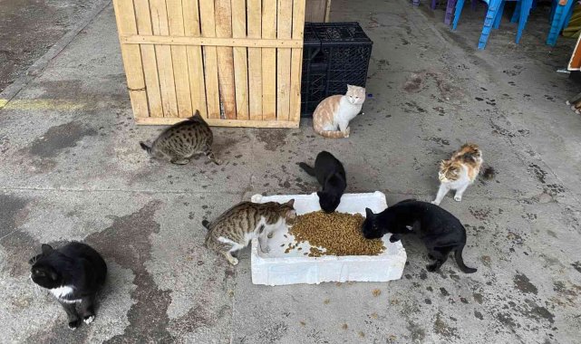 Buharkent&#039;te can dostlar unutulmadı