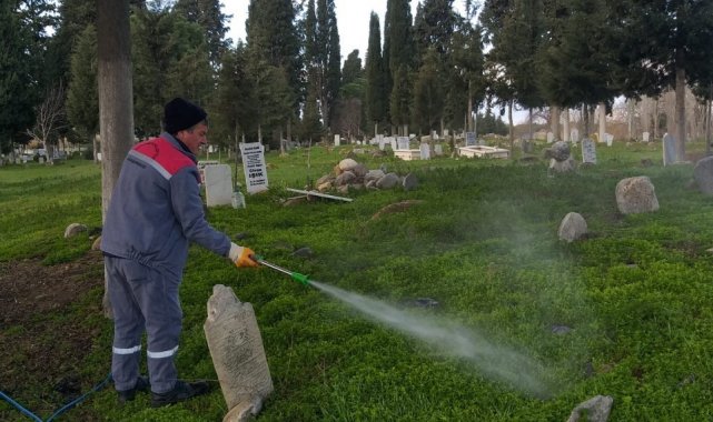 Burhaniye&#039;de mezarlıklarda yabani ot ilaçlaması