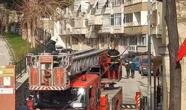 Bursa'da ağaçta asılı kalan kuşu itfaiye ekipleri kurtardı