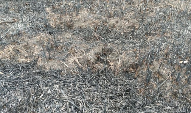 Bursa'da otluk alanda çıkan yangının izleri gün ağarınca ortaya çıktı