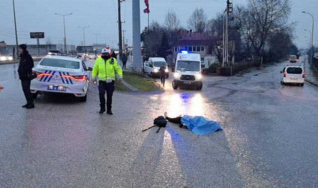 Bursa'da otomobilin çarptığı kadın hayatını kaybetti.