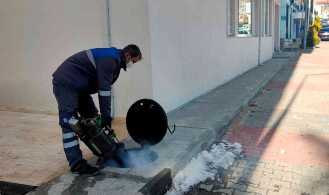 Büyükşehirden 19 ilçede, 1312 personel ile sinekle mücadele