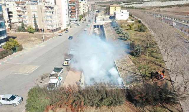 Büyükşehirden vektörle mücadele çalışması